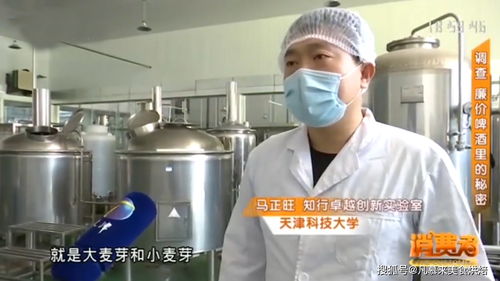 1元啤酒背后的秘密 解析天津科技大學(xué)專家的見解，洞悉精釀啤酒與工廠啤酒的本質(zhì)區(qū)別